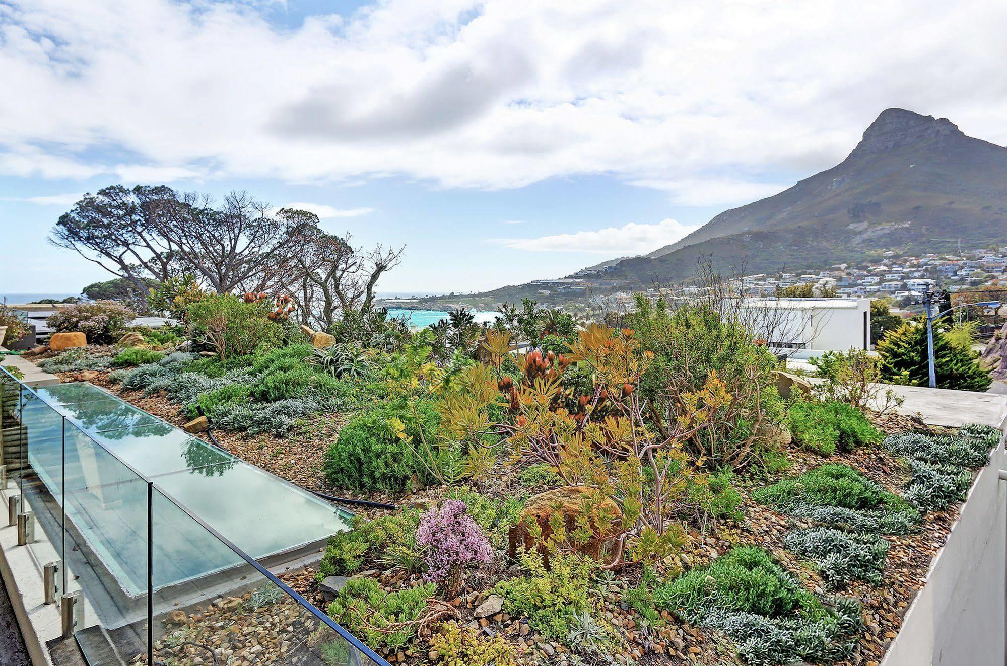 Blinkwater Villa Cape Town Dış mekan fotoğraf